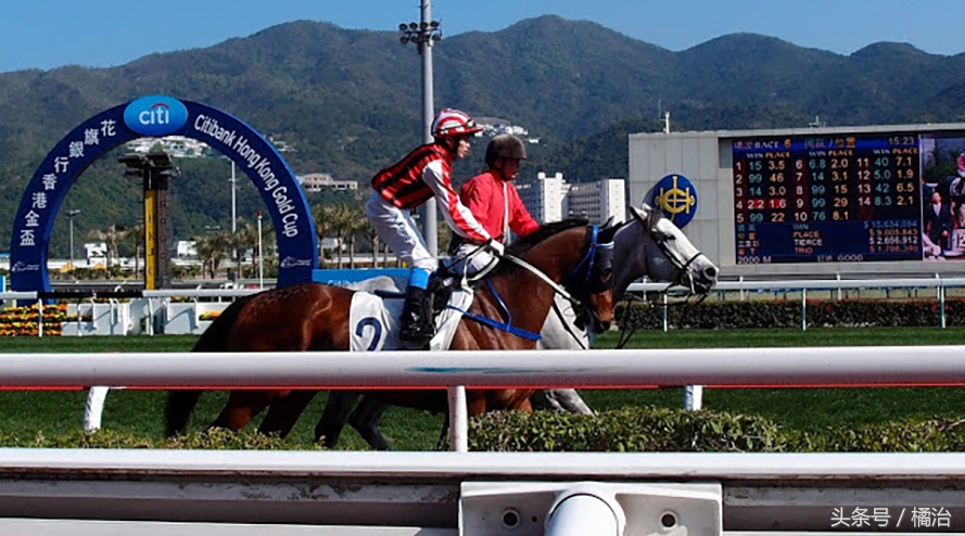 去香港赛马场,买张马票看马儿热血冲刺,超酷!(内含详细攻略)