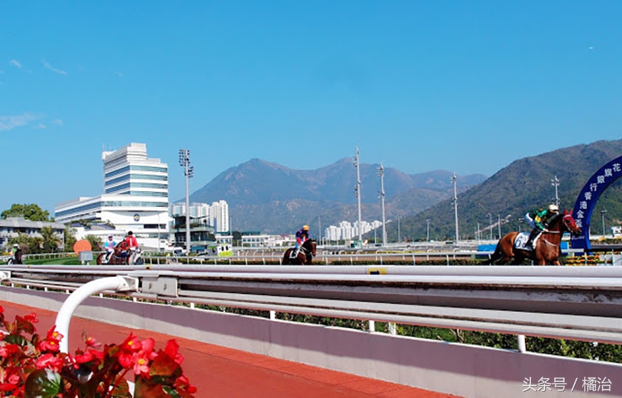 去香港赛马场,买张马票看马儿热血冲刺,超酷!(内含详细攻略)