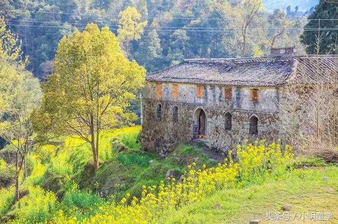 红色记忆、江南山乡、诱人美食…这趟旅行才最值得一试！