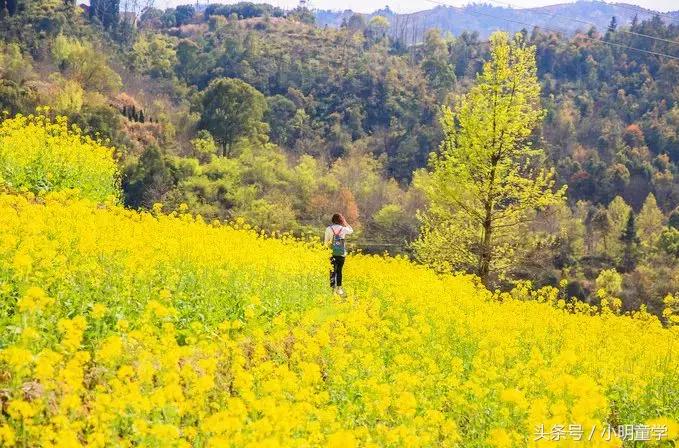 红色记忆、江南山乡、诱人美食…这趟旅行才最值得一试！