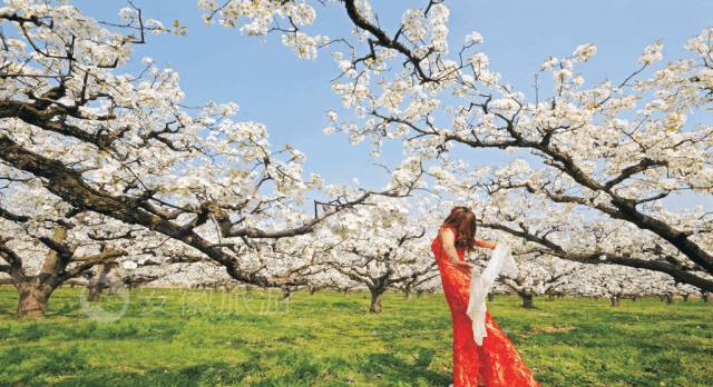 「必看」高铁出发,不到1小时!合肥周边这些地方一天玩个来回!