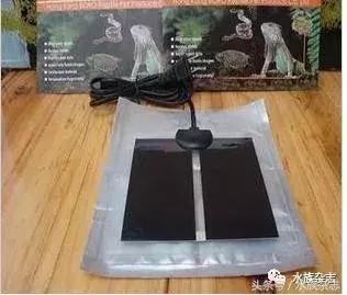 长寿陆龟在哪里,最长寿的缅甸陆龟