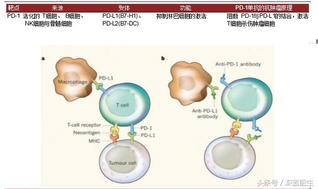 恶性黑色素瘤有活二十年的吗,恶性黑色素瘤为什么致死