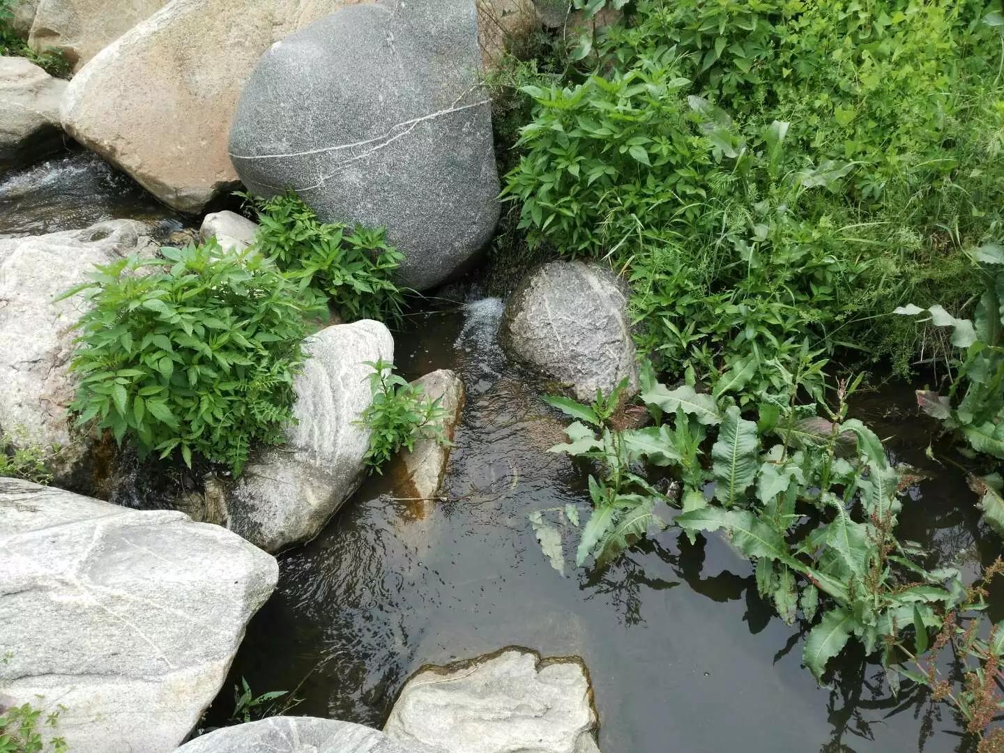 白癜风久治不愈的原因7个治疗原则要遵循