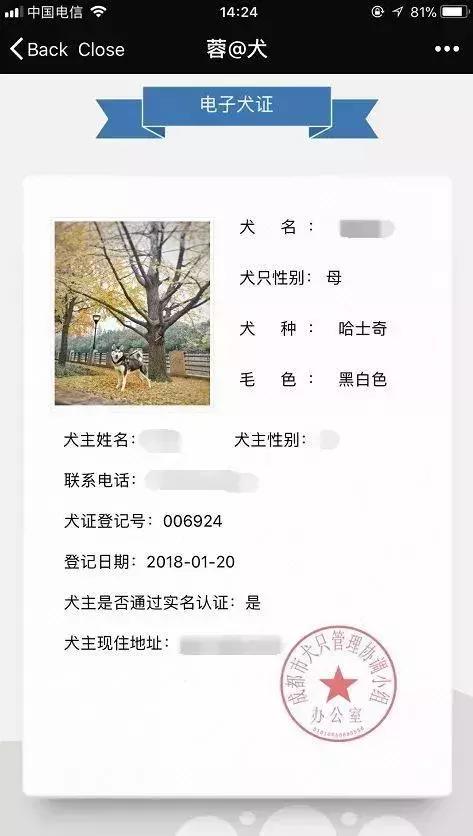 铲屎官需要准备什么东西,成都温江犬证办理流程