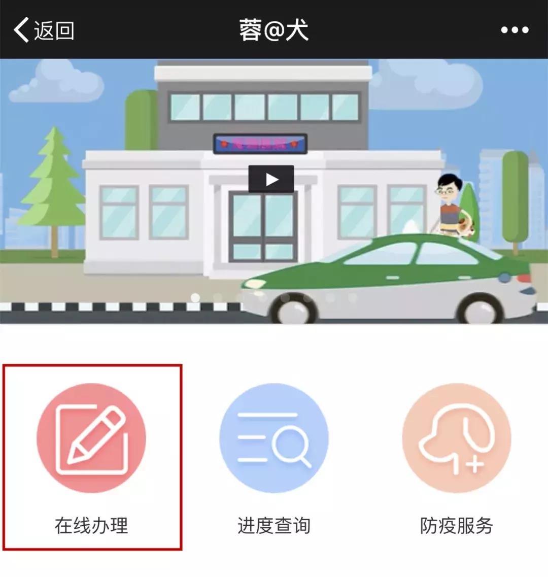铲屎官需要准备什么东西,成都温江犬证办理流程