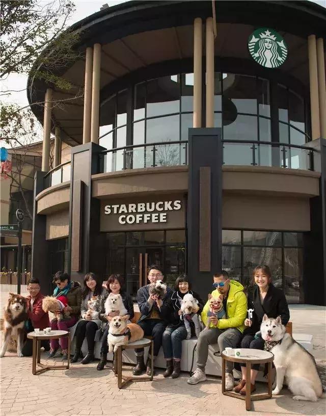 铲屎官需要准备什么东西,成都温江犬证办理流程