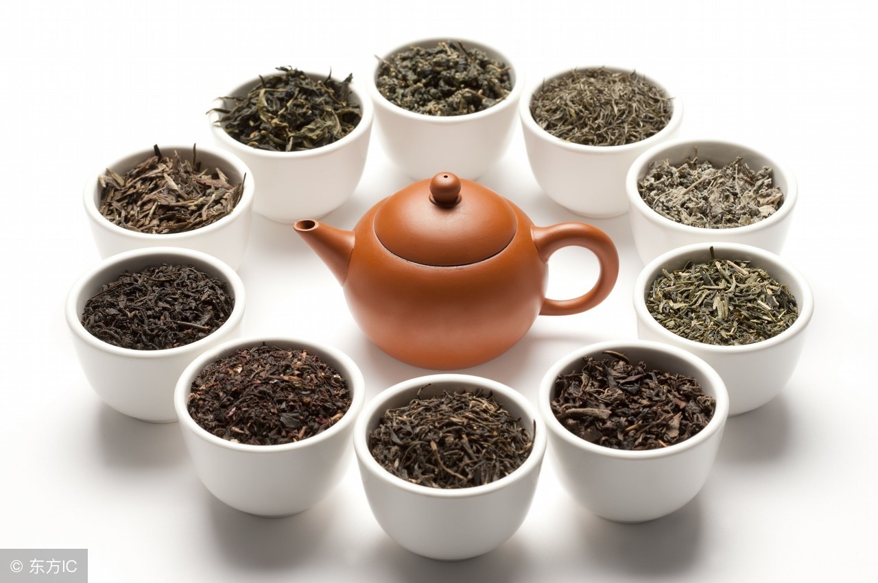 春季养肺润肺的茶,润肺去燥春季喝什么茶