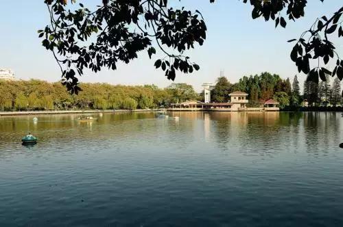 深圳仙湖植物园清明踏青赏花,深圳2022清明能去旅游吗