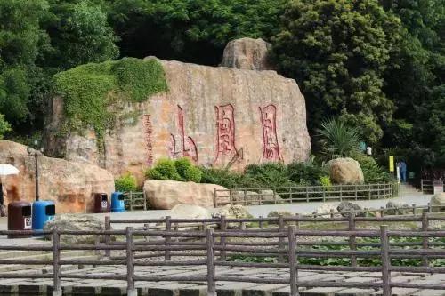 深圳仙湖植物园清明踏青赏花,深圳2022清明能去旅游吗