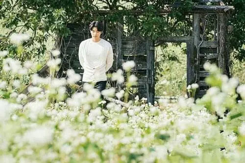 如果一定要不负*光春**不负花,选这2个地方就够了