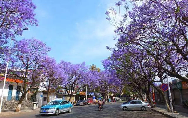 如果一定要不负*光春**不负花,选这2个地方就够了