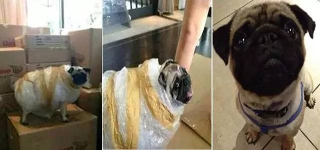 「爆笑」看到这些雷人的快递包装，内心瞬间崩溃了！