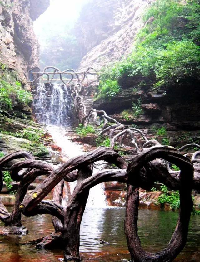 洛阳旅游攻略三天两夜赏牡丹,赏花何须去洛阳天下牡丹出襄阳