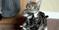 十大最难用彩妆,好用小众的护肤彩妆有哪些