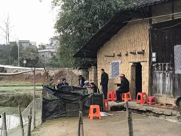 18岁少女杀母弑父,14岁少年杀母事件