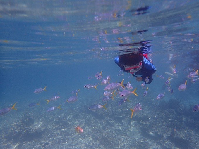 带着我的宝贝豆豆|一起去西太平洋上的海岛国家！