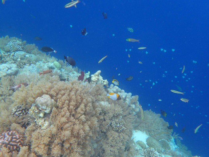 带着我的宝贝豆豆|一起去西太平洋上的海岛国家！