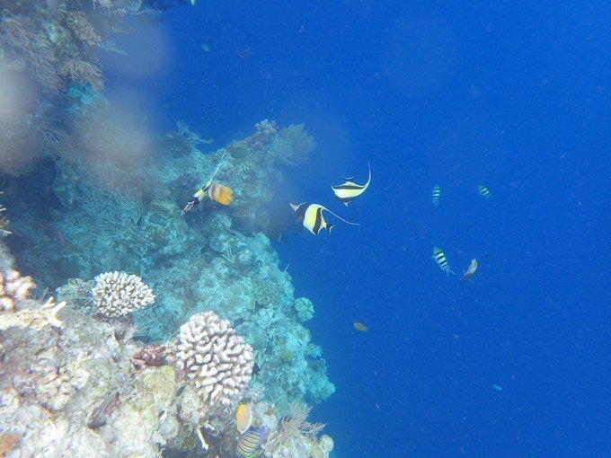 带着我的宝贝豆豆|一起去西太平洋上的海岛国家！