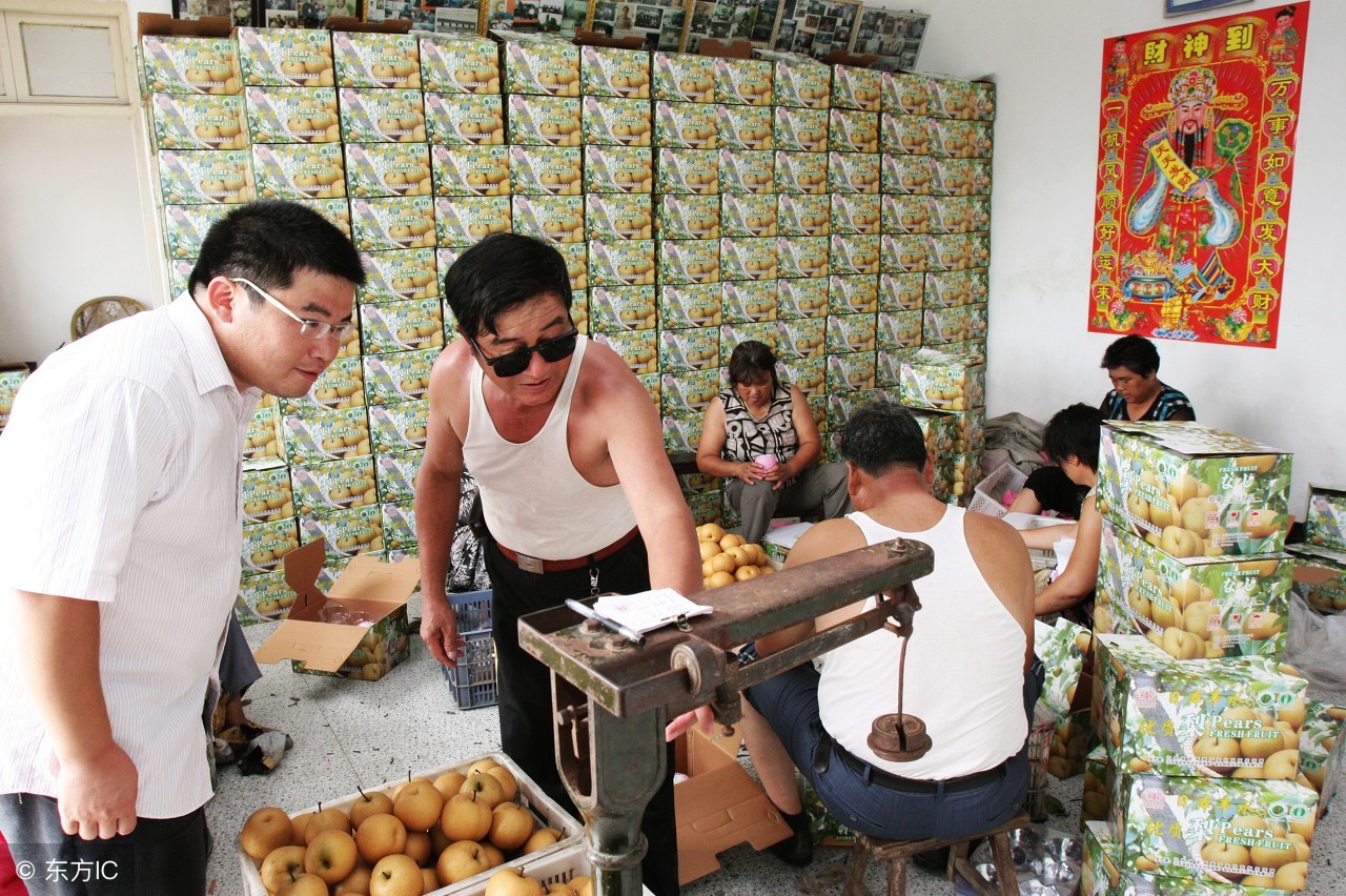 不想种地能干点啥事,农村不想打工种什么好