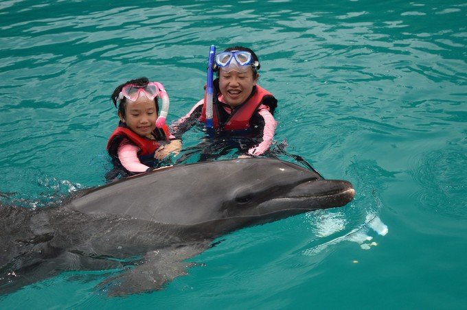 带着我的宝贝豆豆|一起去西太平洋上的海岛国家！