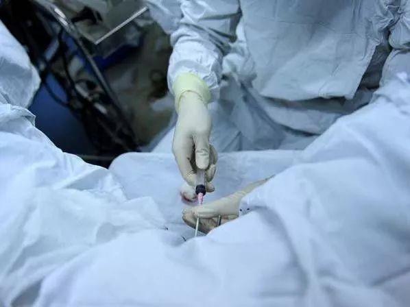 试管婴儿常识有哪些必须知道,试管婴儿需经历的六个阶段