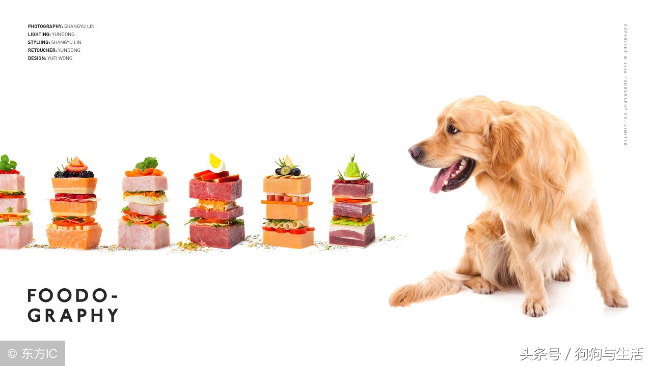 全国前十名狗粮排行榜,全网狗粮销量排行榜前十名