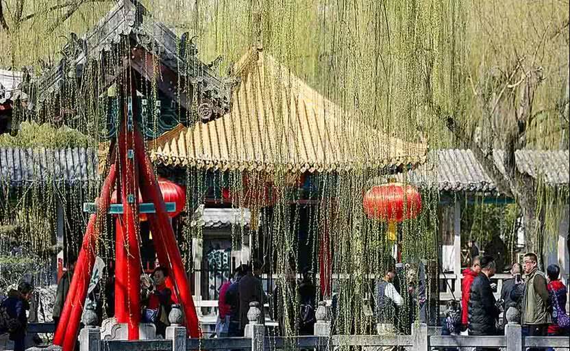 春风十里不如你，邀请您共赏济南最美好的春景