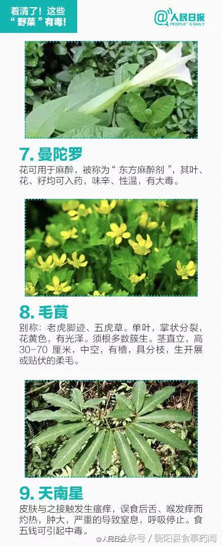 衡阳市食品安全监管局,衡阳县食品安全监管