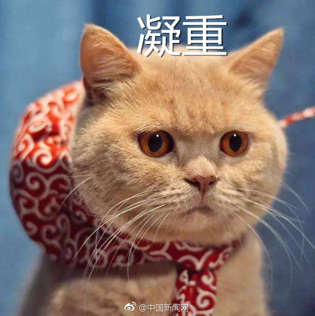 男子偷盗只为进合唱团,男子偷盗十年只为加入监狱合唱团