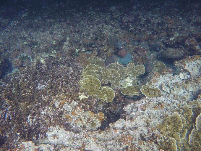 很少人知道的海岛国家！帕劳