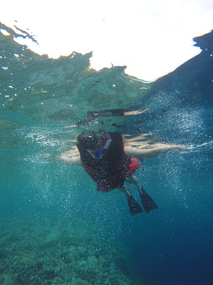 很少人知道的海岛国家！帕劳