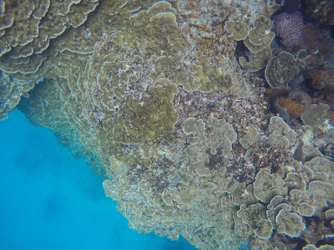 很少人知道的海岛国家！帕劳