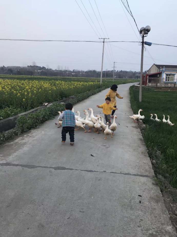 男子偷盗只为进合唱团,男子偷盗十年只为加入监狱合唱团