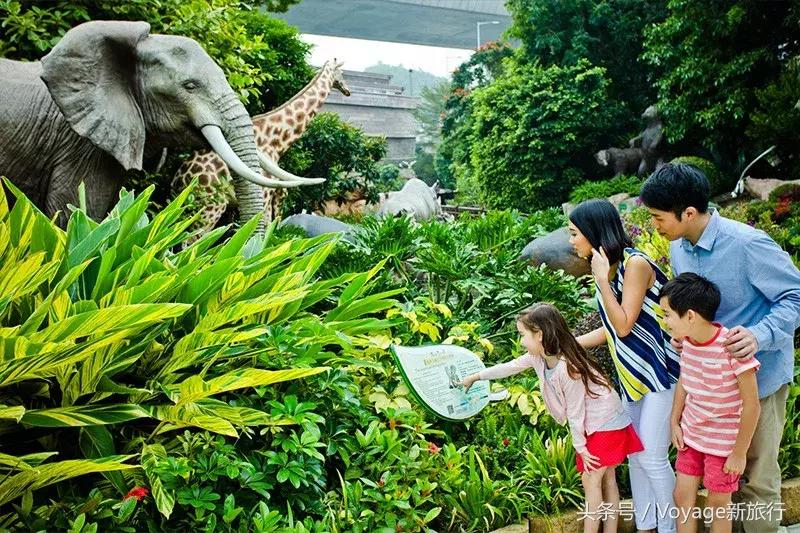 香港除了迪士尼还能去吗,香港除了迪士尼还有什么好玩的