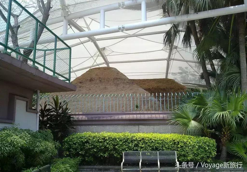 香港除了迪士尼还能去吗,香港除了迪士尼还有什么好玩的