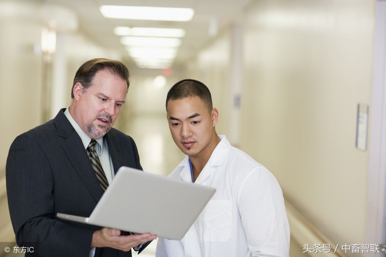 如何通过望、闻、问、切给猪诊病？