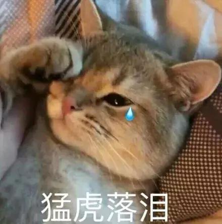 结婚流程最全详细清单excel表,高效备婚表格大全