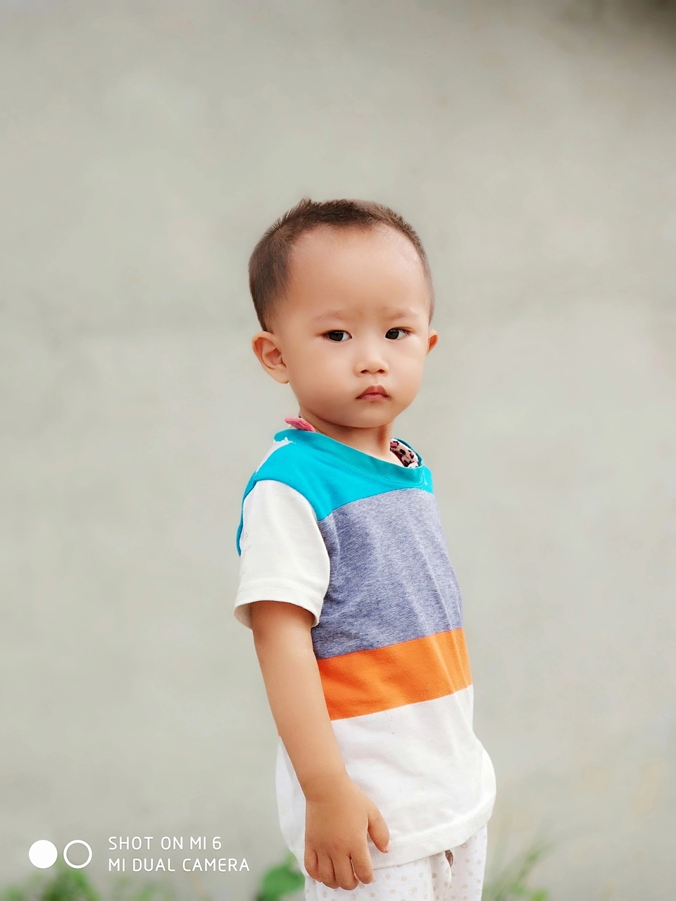 魅蓝note6拍照图片,魅蓝note6拍照的效果