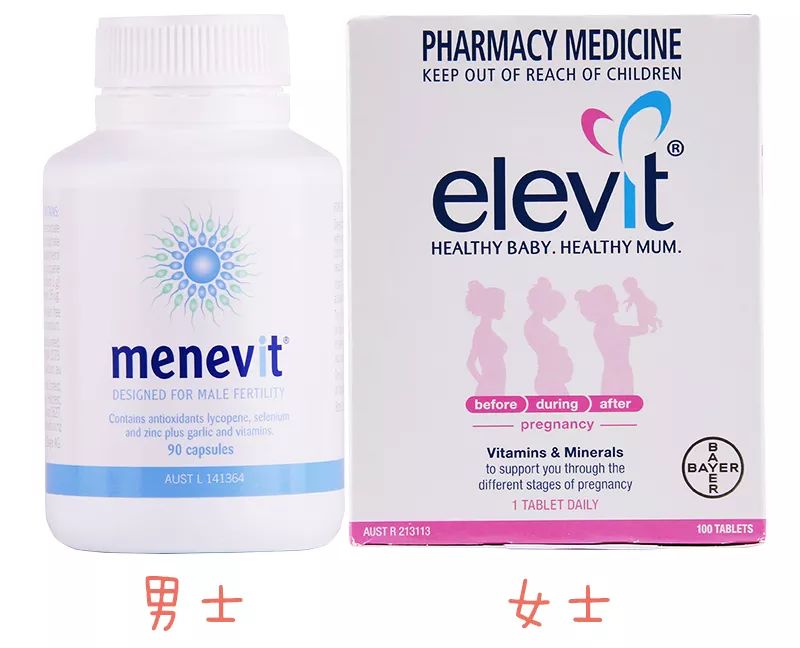 胎儿优育管理—孕期营养与滋补