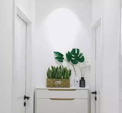 一字走廊改造,出门就是过道式走廊如何改造