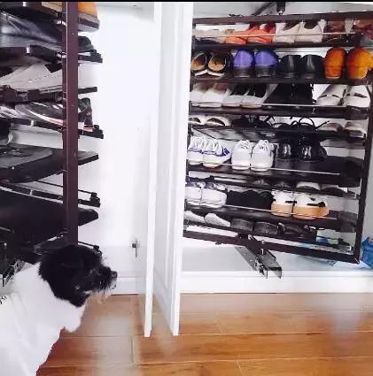 一字走廊改造,出门就是过道式走廊如何改造