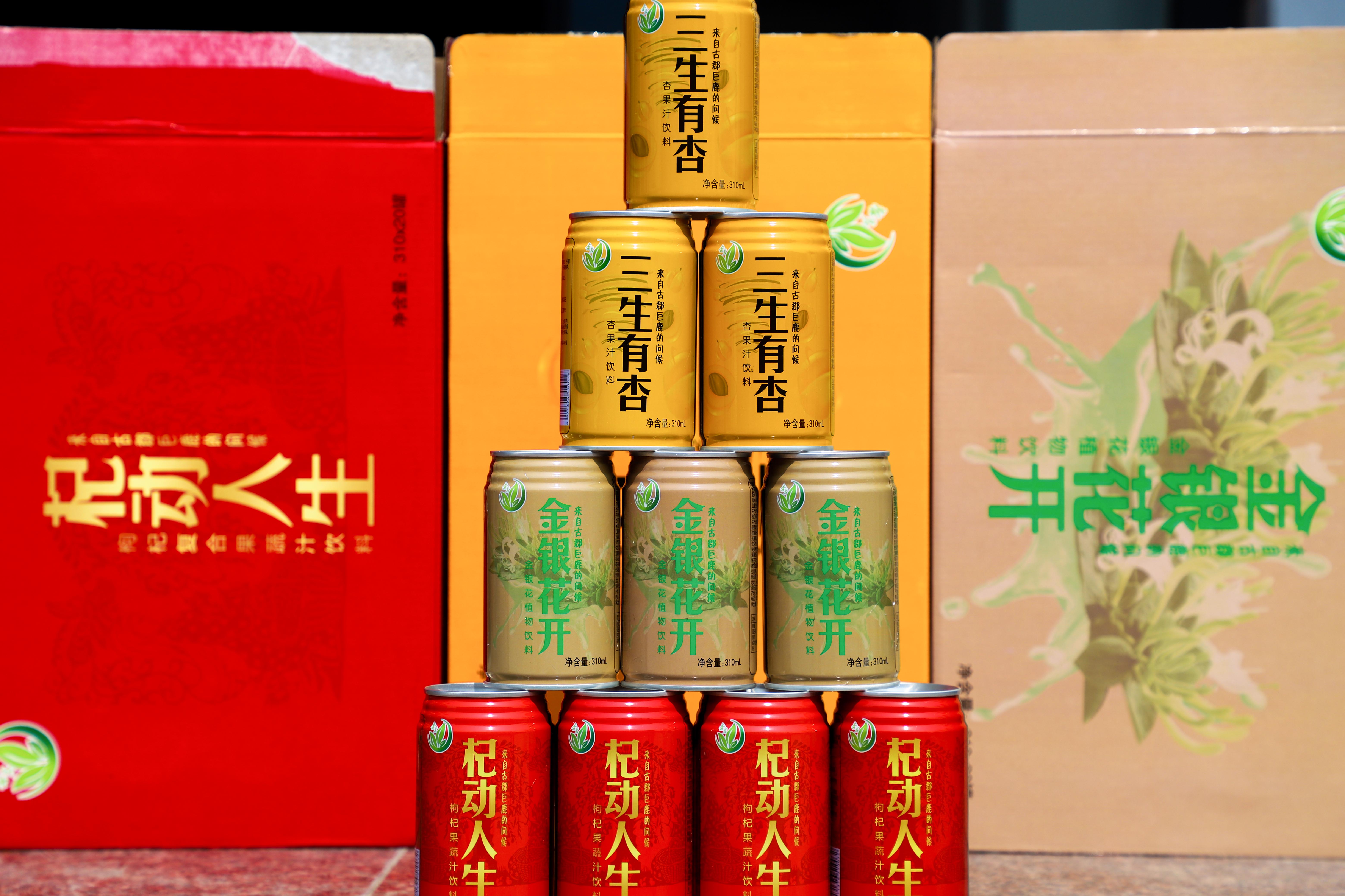 巨鹿杏花,河北省巨鹿县杏花