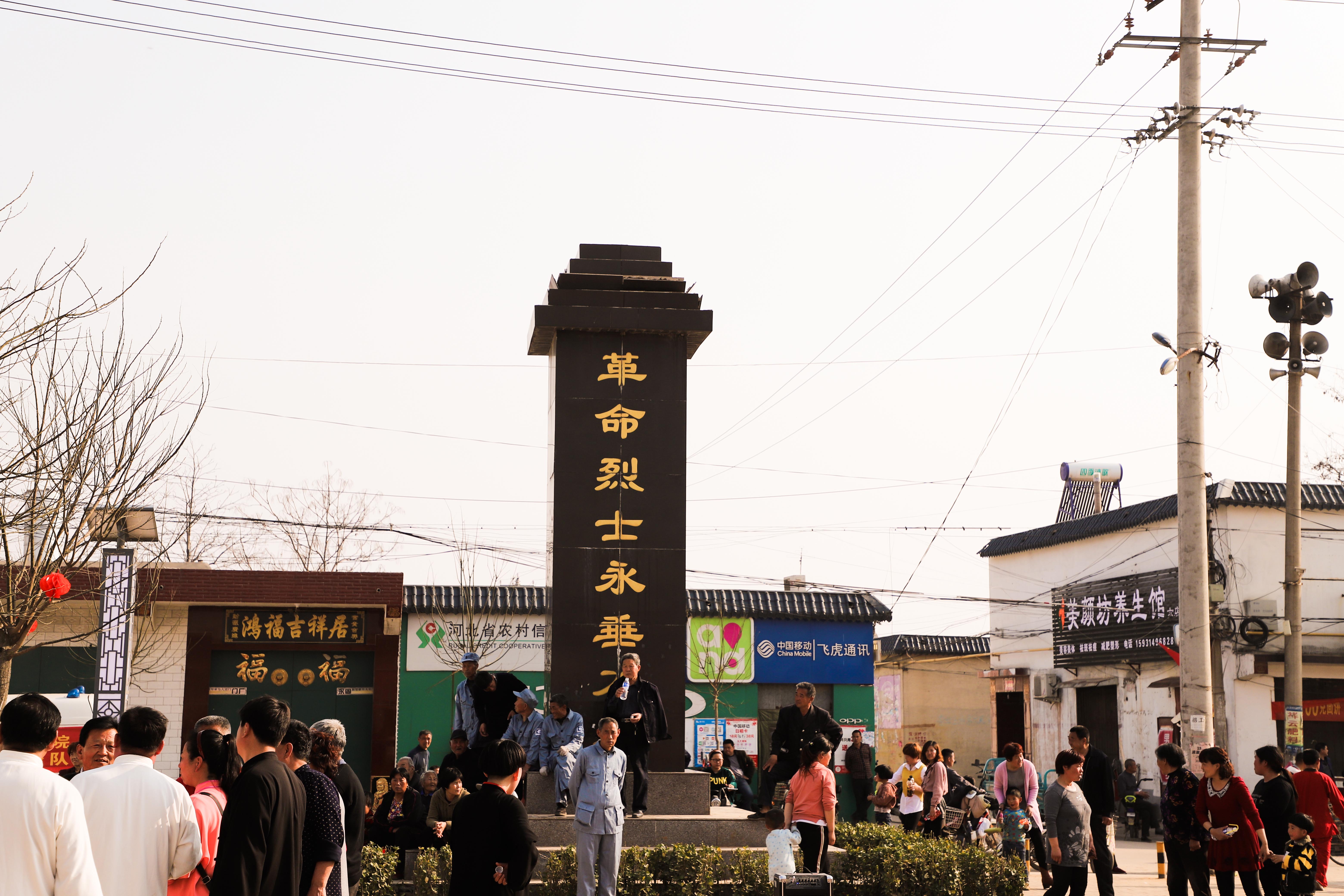巨鹿杏花,河北省巨鹿县杏花