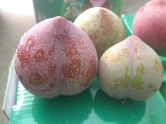 美丽嵊州宣传视频,美丽浙江诸暨