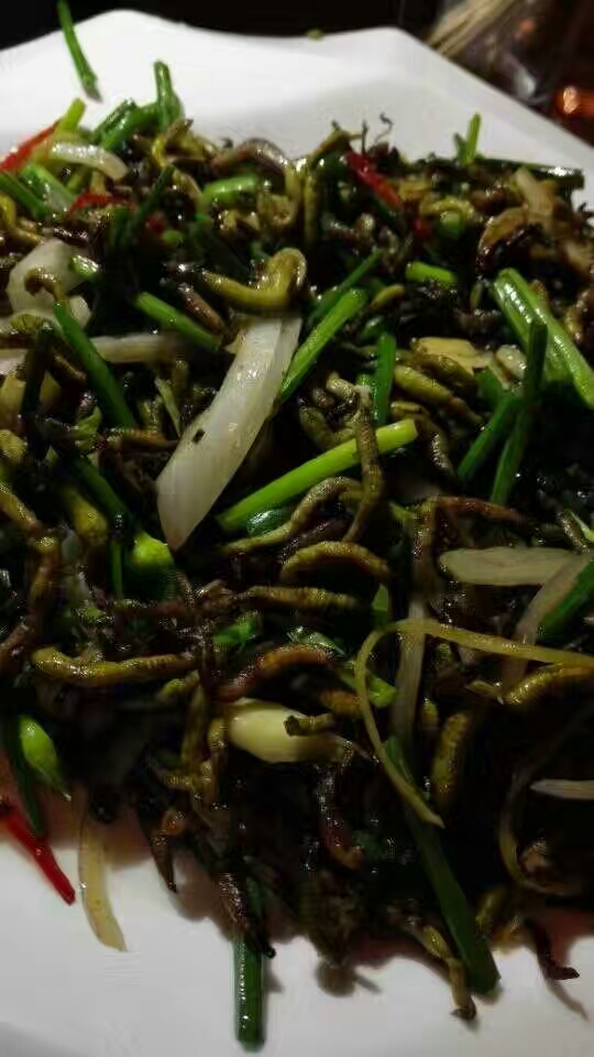 流蜞这道菜在福州算什么,福州闽江流蜞