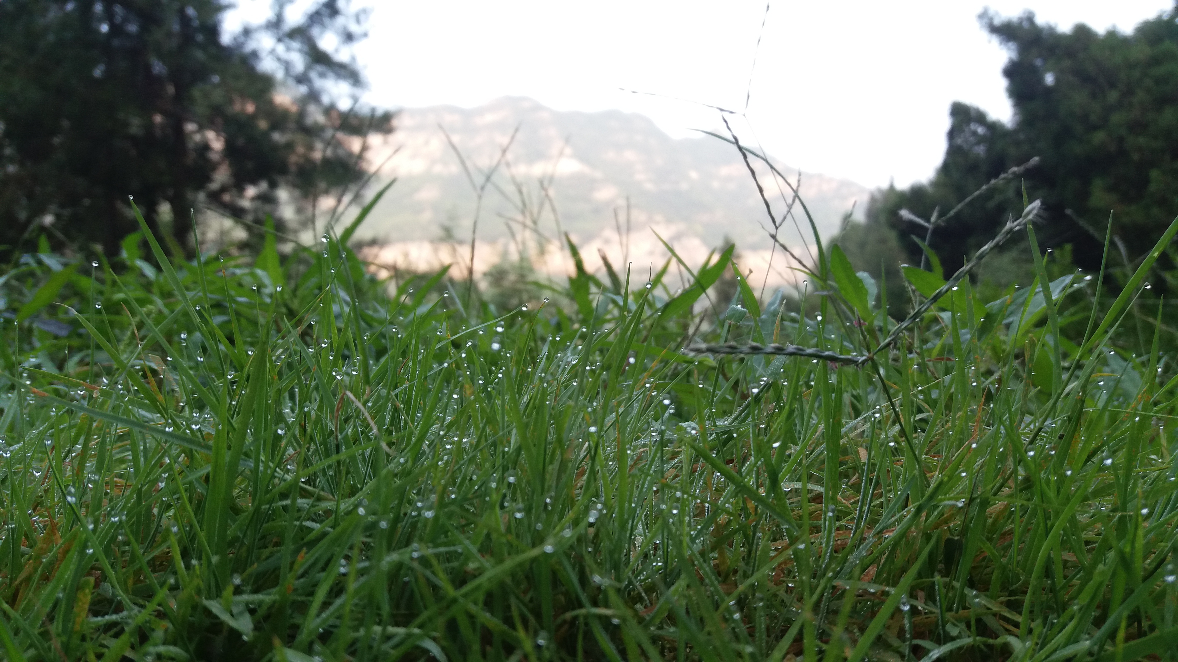 青山绿水船景区,焦作市博爱县青天河旅游景点