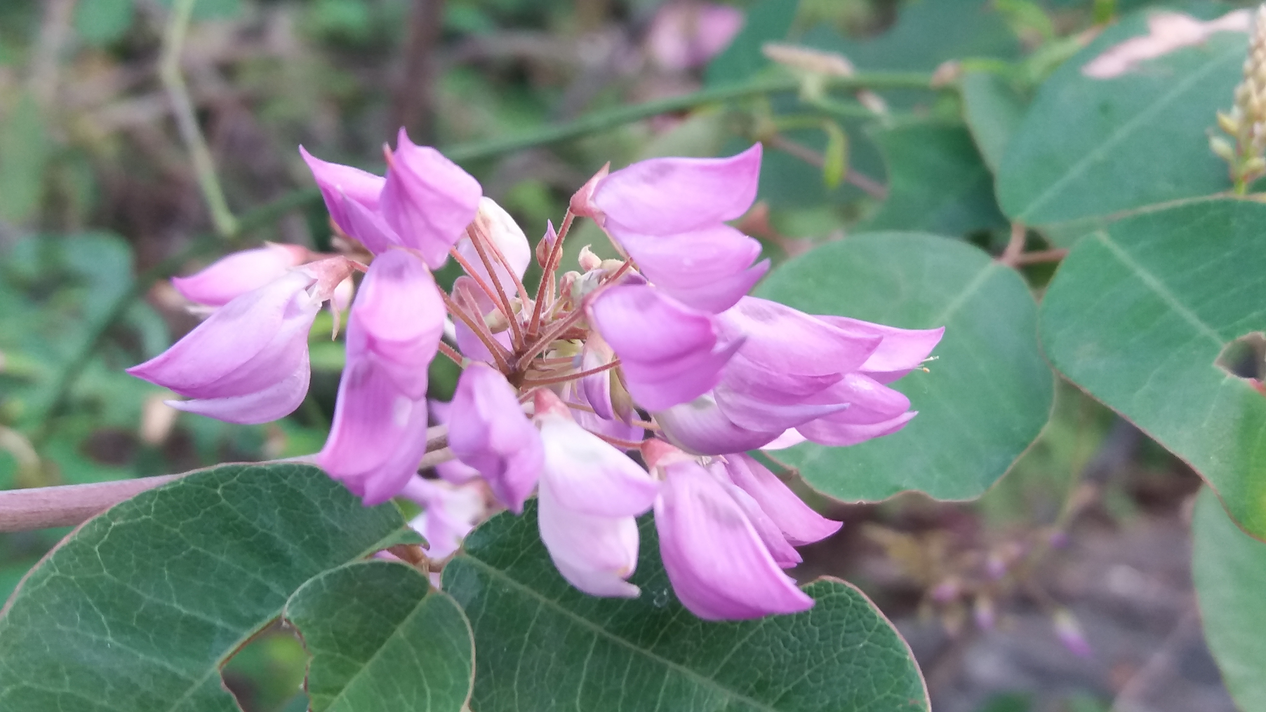 青山绿水船景区,焦作市博爱县青天河旅游景点