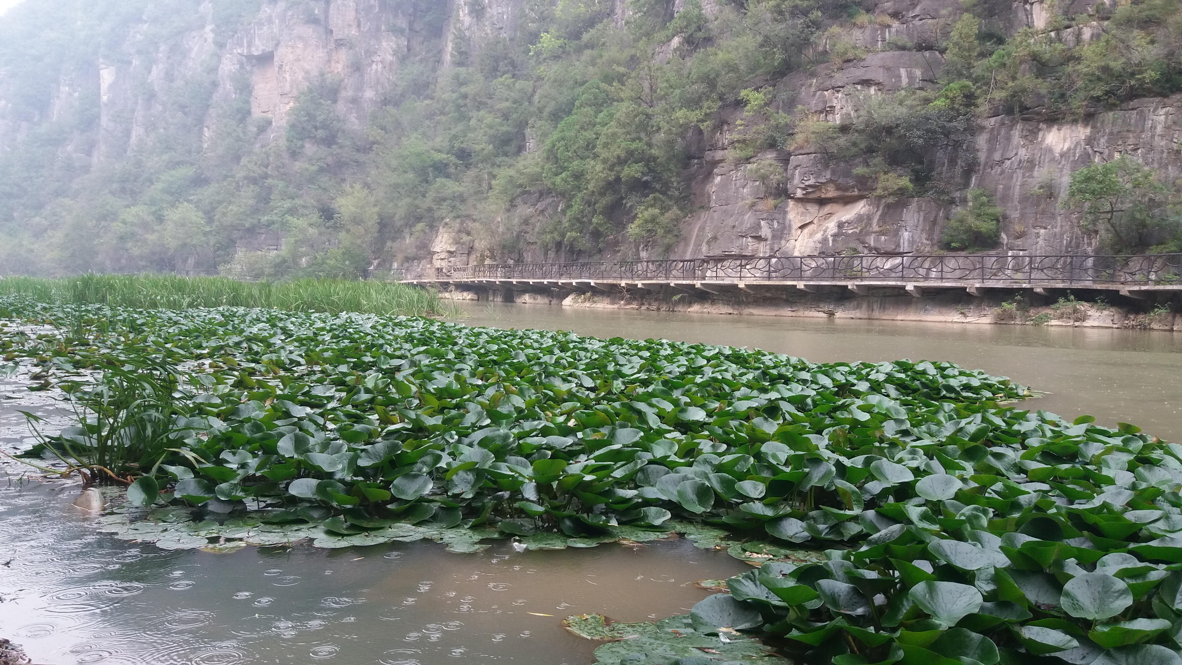 青山绿水船景区,焦作市博爱县青天河旅游景点