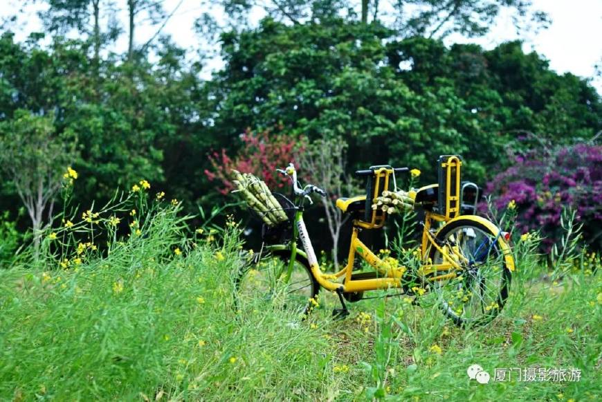 长泰古山重村适合什么时候去,厦门周边游景点推荐适合亲子